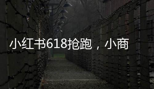 小红书618抢跑，小商家陪跑当“炮灰”？