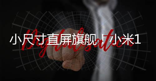 小尺寸直屏旗舰！小米14官方商城评价超104万：好评率99%