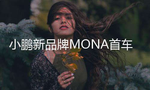 小鹏新品牌MONA首车预告图发布！定位AI智驾汽车 6月发布