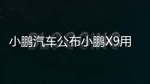 小鹏汽车公布小鹏X9用户画像：超8成是BBA增购车主