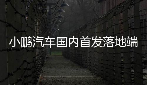 小鹏汽车国内首发落地端到端大模型：2025实现类似L4级智驾