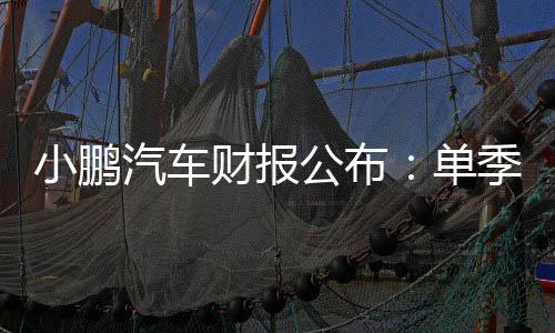 小鹏汽车财报公布：单季营收超130亿 新品牌预告即将登场