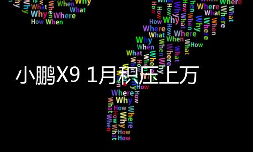 小鹏X9 1月积压上万订单 何小鹏：春节加班 做好去工厂拧螺丝准备