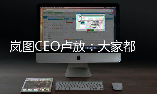 岚图CEO卢放：大家都很拼 但是新能源的竞争只会更“卷”