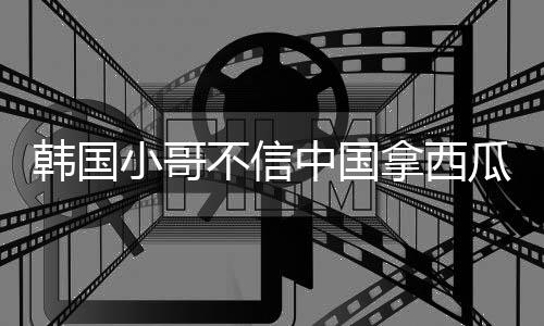 韩国小哥不信中国拿西瓜喂猪 网友：小哥想当猪队友