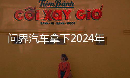 问界汽车拿下2024年全球插混第二 仅次于比亚迪