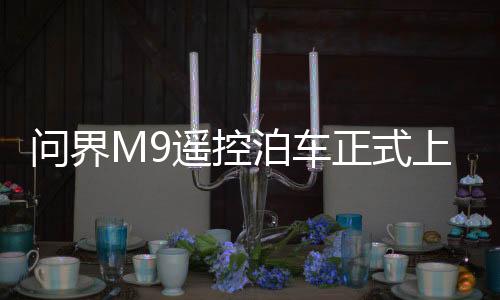 问界M9遥控泊车正式上线：支持手机APP远程操控