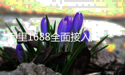 阿里1688全面接入淘宝：重推源头厂货