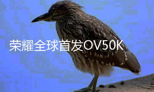 荣耀全球首发OV50K：曝华为Mate旗舰也在测试它