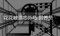 花花被遗忘外场 饲养员被解雇：花花身体状况无异常