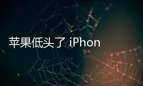 苹果低头了 iPhone 16 SE 将配纵向排列相机