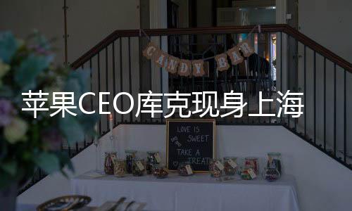 苹果CEO库克现身上海！与郑恺街拍合照 网友：梦幻联动