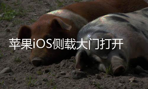 苹果iOS侧载大门打开：开发者能做第三方应用商店了