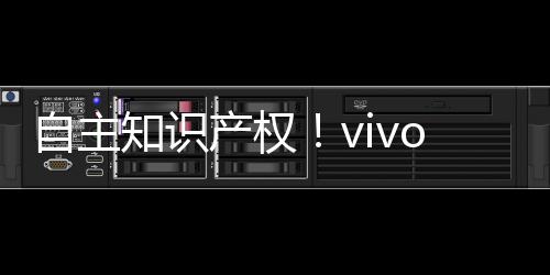 自主知识产权！vivo X100 Ultra首发汇顶科技超声波指纹