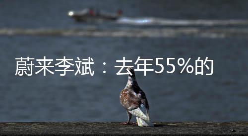 蔚来李斌：去年55%的车都被江浙沪买了 广州区负责人被在线定KPI