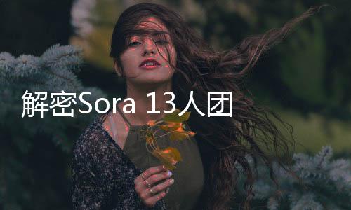 解密Sora 13人团队：北大校友在内3名华人，应届博士带着21岁天才少年