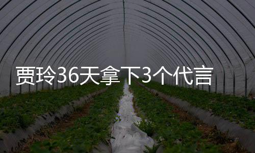 贾玲36天拿下3个代言：拍摄《热辣滚烫》减肥100斤后成顶流