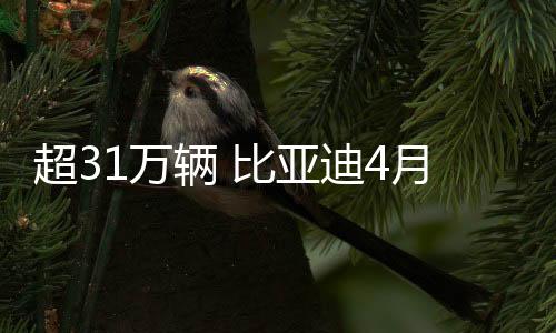 超31万辆 比亚迪4月各车型销量公布：单车最多卖了5.1万辆