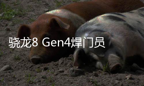 骁龙8 Gen4焊门员！Redmi K80 Pro参数出炉