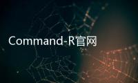 Command-R官网体验入口 人工智能生成型模型使用方法教程指南