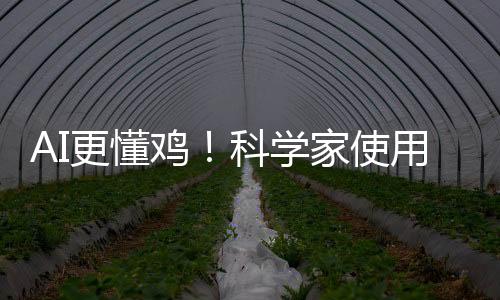 AI更懂鸡！科学家使用人工智能解码鸡的语言