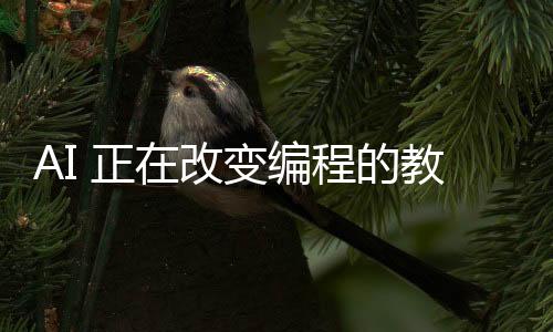 AI 正在改变编程的教学方式：教授们正从语法转向强调更高层次技能