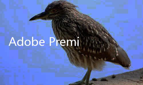 Adobe Premiere Pro发布重大更新 引入Sora、Runway、Pika等AI视频模型