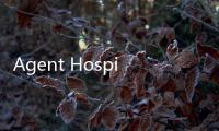 Agent Hospital：一个先进的虚拟AI医院模拟平台