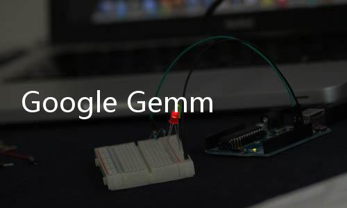 Google Gemma开放模型官网体验入口 谷歌AI开源语言免费下载地址