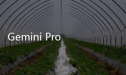 Gemini Pro 1.5及其百万上下文功能现已向所有人开放