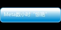 Meta数小时“惊艳”世人两次：净利润暴增117% 股价大跌15%！