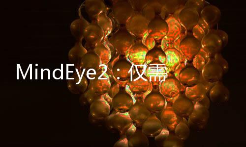 MindEye2：仅需1小时训练数据即可重建大脑中的图像