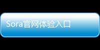 Sora官网体验入口 OpenAI文生视频模型免费在线使用地址