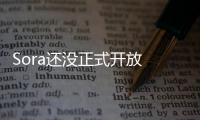 Sora还没正式开放 有开发者已经搞出了SoraWebui