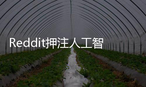 Reddit押注人工智能数据许可协议 或 OpenAI等公司带来巨大收益