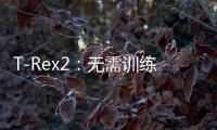 T-Rex2：无需训练即可精准识别视频中的目标对象