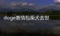 doge表情包柴犬去世：享年18岁 睡梦中安详离世