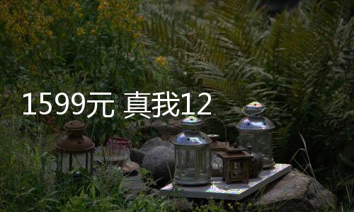 1599元 真我12 Pro 明天发售 网友：把门焊得死死的