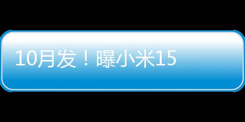 10月发！曝小米15 Pro有直立和潜望双版本