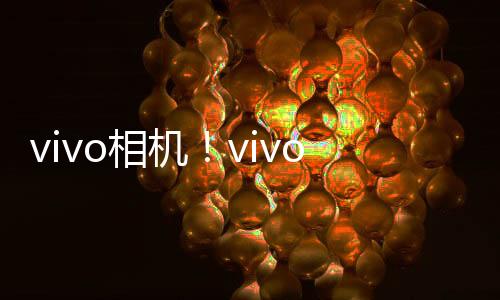 vivo相机！vivo X100 Ultra下周首销：6499元起